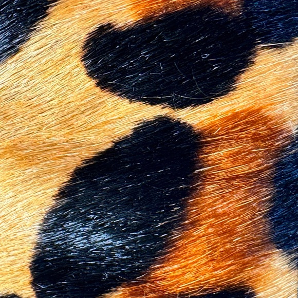 Vintage Avignon Leopard Hair-On Leather Belt Wide Statement Belt Sz Small - Picture 10 of 12